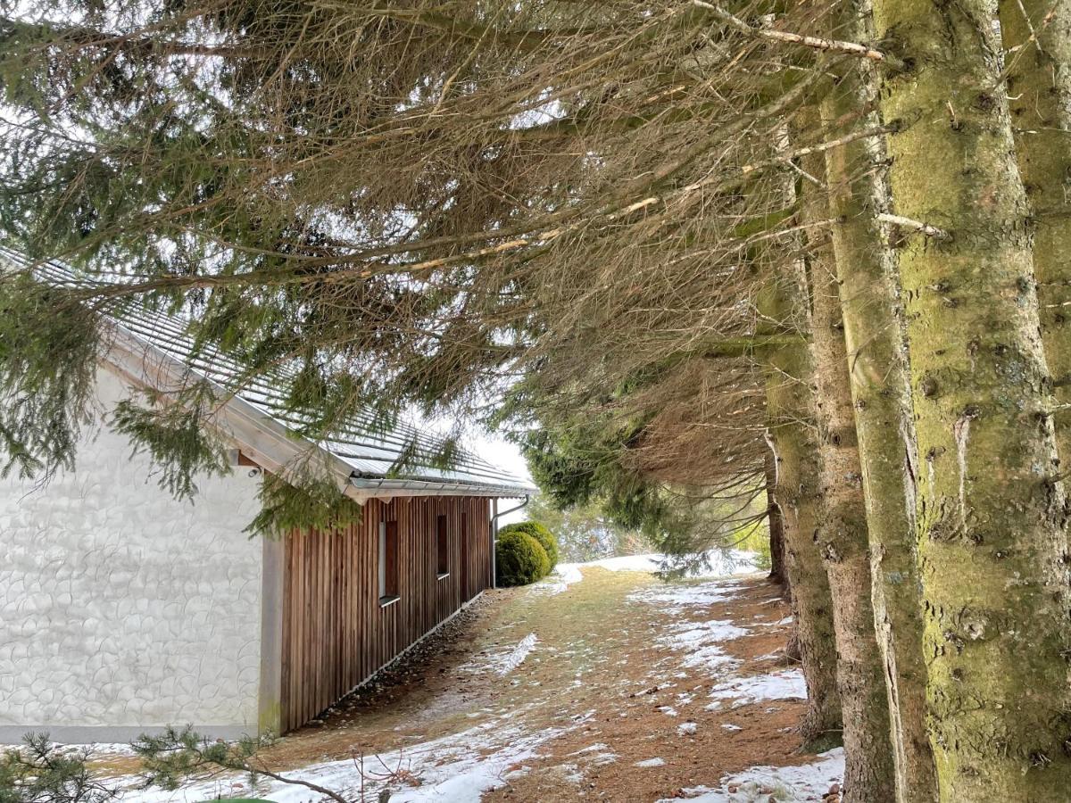 Teichalm Lodge Landhaus 泰哈姆山麓弗拉德尼茨 外观 照片